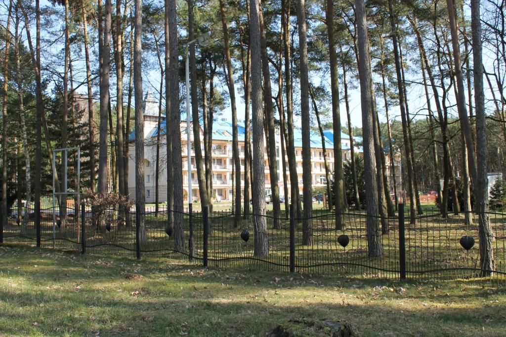 Ogród w obiekcie Apartament "Zacisze"