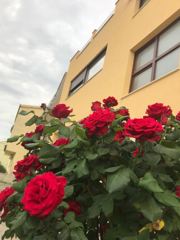 Fotografie z fotogalerie ubytování Apartman MIG v destinaci Solin