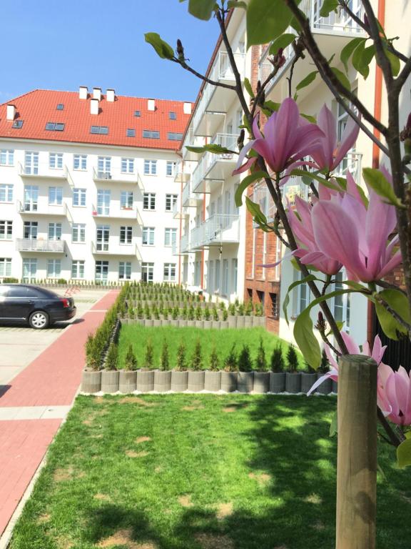 シュチェチンにあるJanosikの建物前の花園