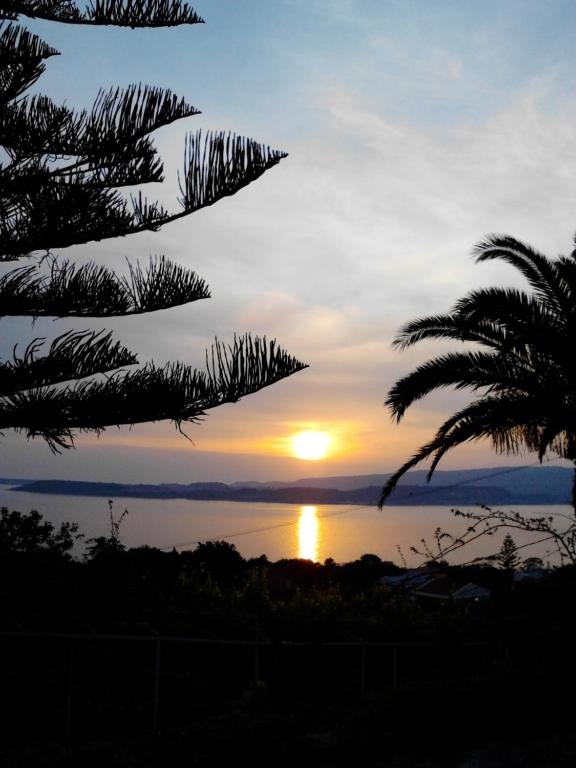 a sunset over the ocean with a palm tree at Mediterranean Studios in Lassi