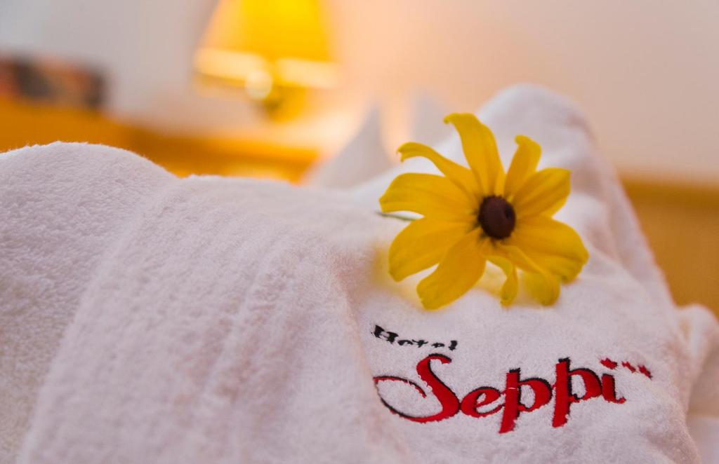 Postel nebo postele na pokoji v ubytování Hotel Seppi
