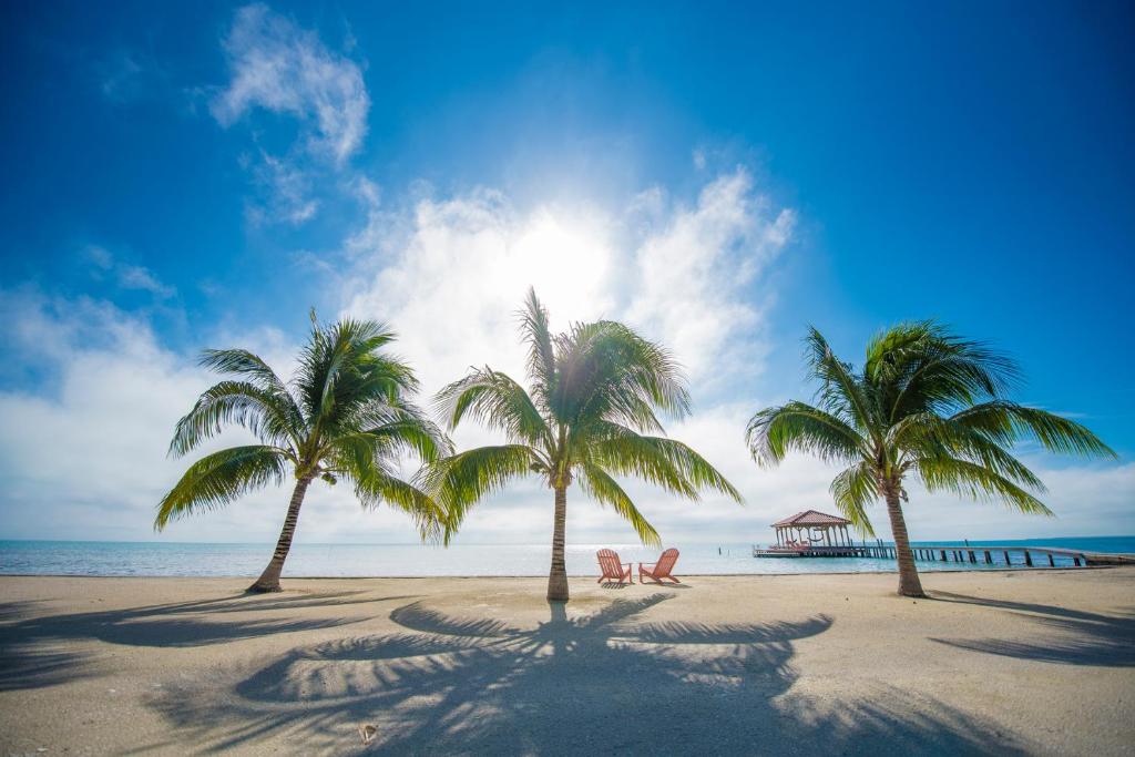 a group of palm trees on a beach with a pier at St. George's Caye Resort in Belize City