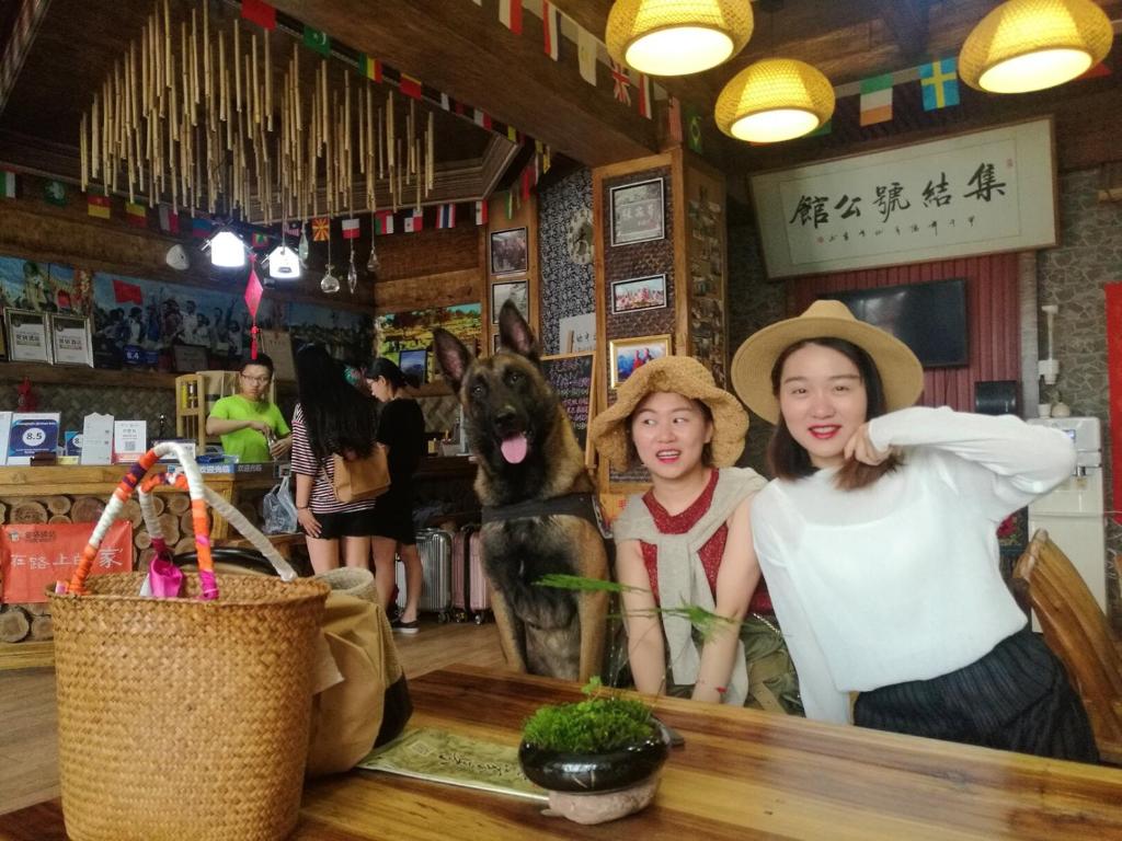 twee vrouwen en een hond zittend aan een balie in een restaurant bij Zhangjiajie Jijiehao Inn in Zhangjiajie