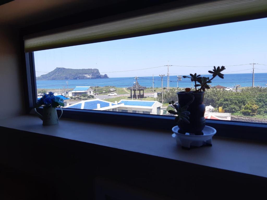 a window with two potted plants on a window sill at La Masion Benie in Seogwipo