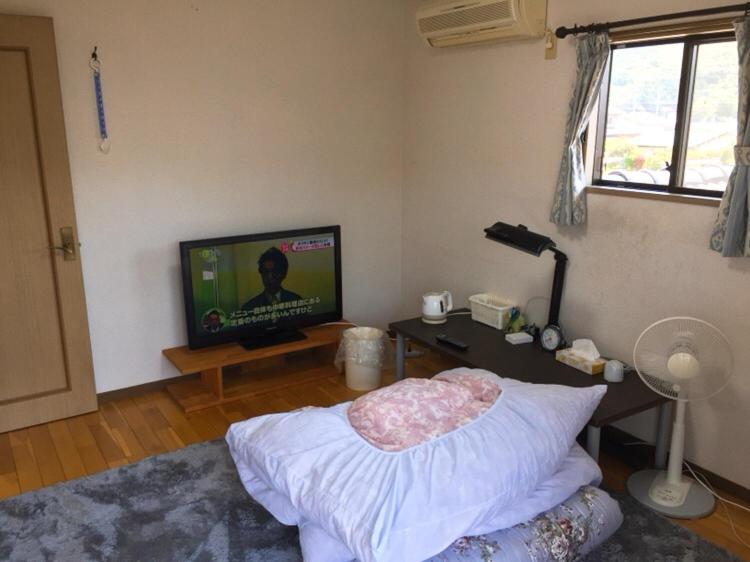 a living room with a bed and a flat screen tv at Guesthouse Suisennosato in Konan