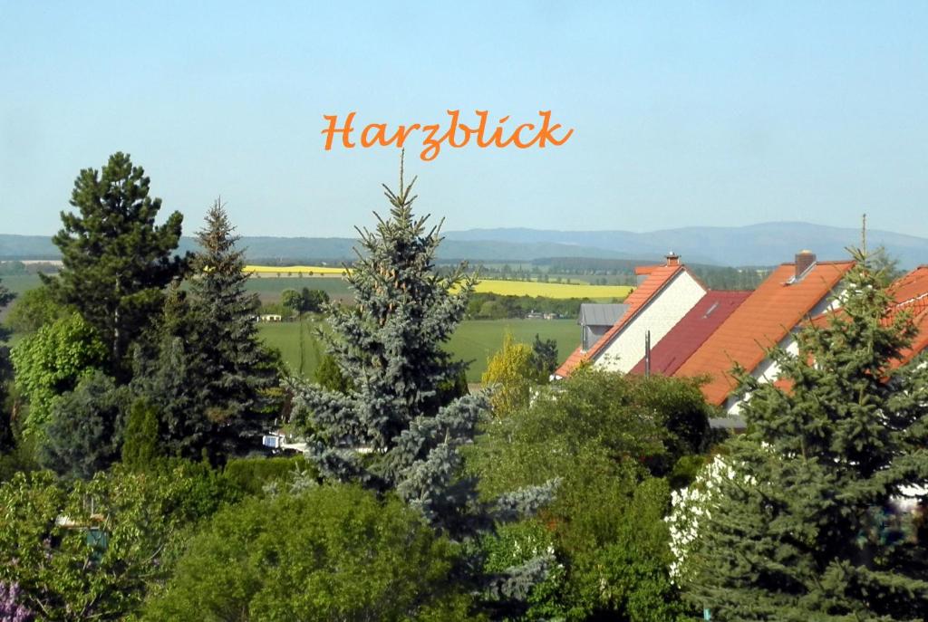 Blick auf eine Stadt mit Bäumen und Häusern in der Unterkunft Ferienhaus "Harzblick" in Halberstadt