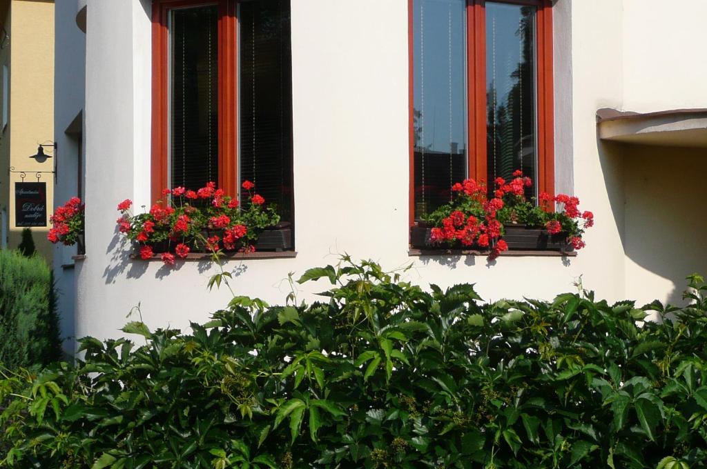 Duas janelas com gerânios vermelhos num edifício. em Apartmán Dobrá Naděje em Uherské Hradiště