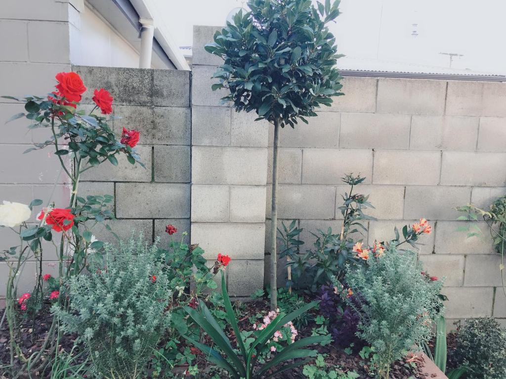 The Heart of Rotorua - Resim 23