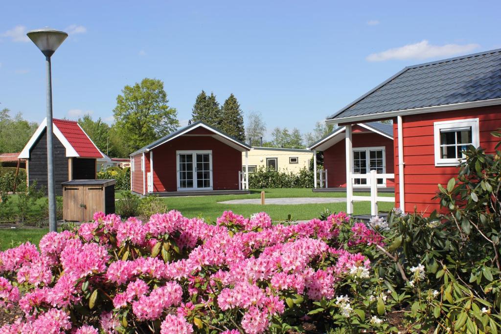 a garden with pink flowers and a red house at De Bijsselse Enk, Noors chalet 1 in Nunspeet