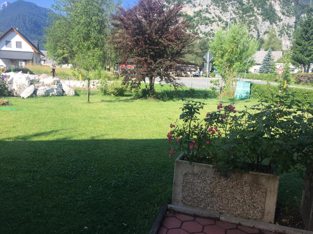 Zahrada ubytování Apartma Metka