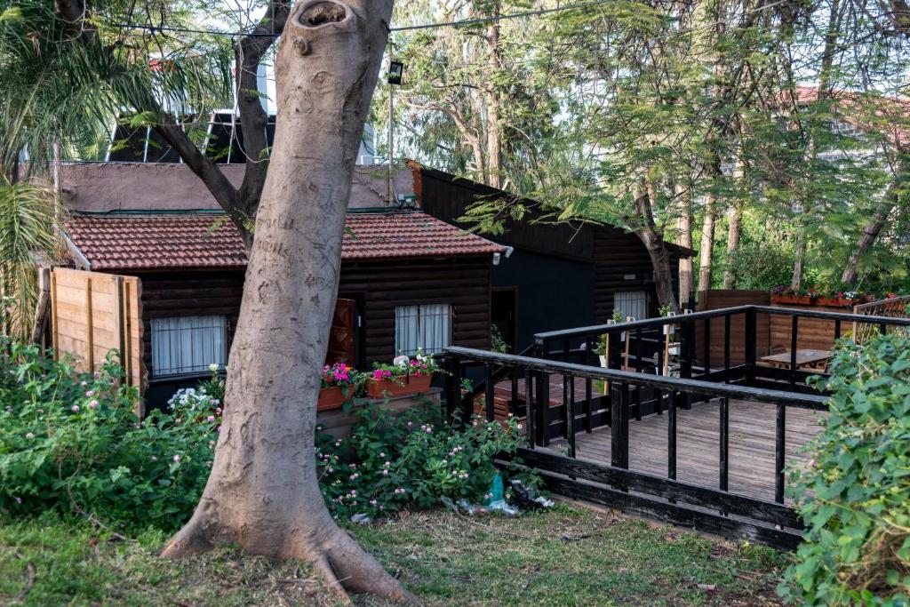 Zahrada ubytování Kinneret Lodging