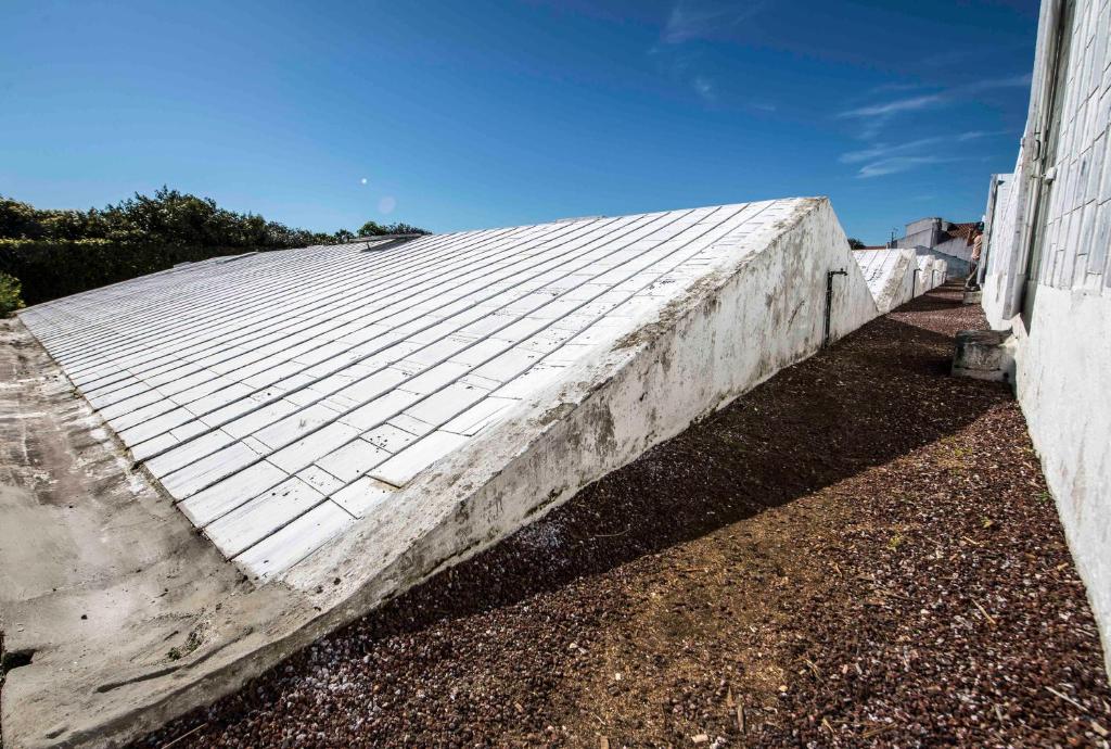 Herdade do Ananás - 17