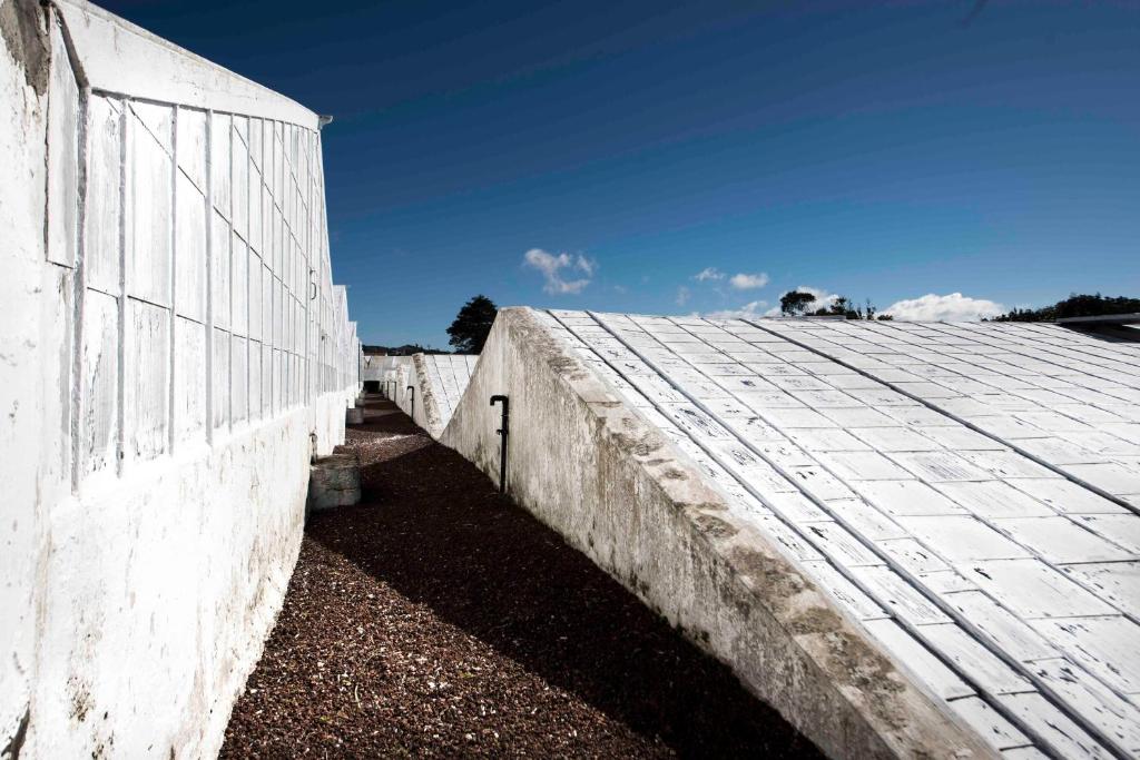 Herdade do Ananás - 19