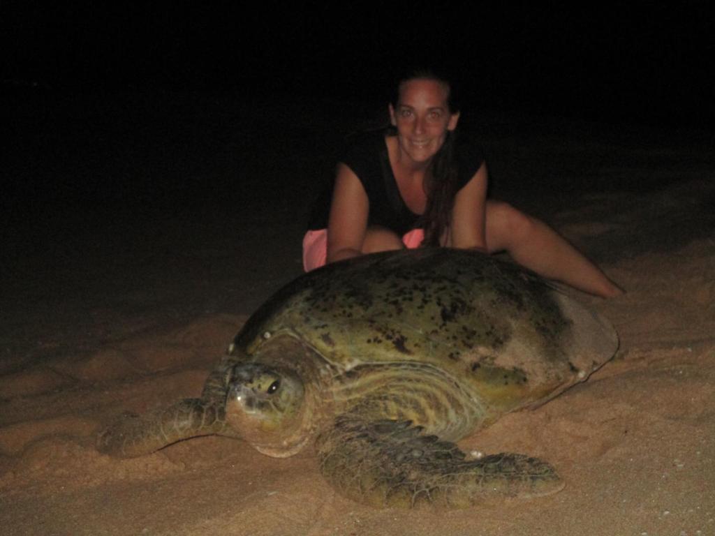 Una donna seduta sul dorso di una grande tartaruga. di All View Resort a Tangalle