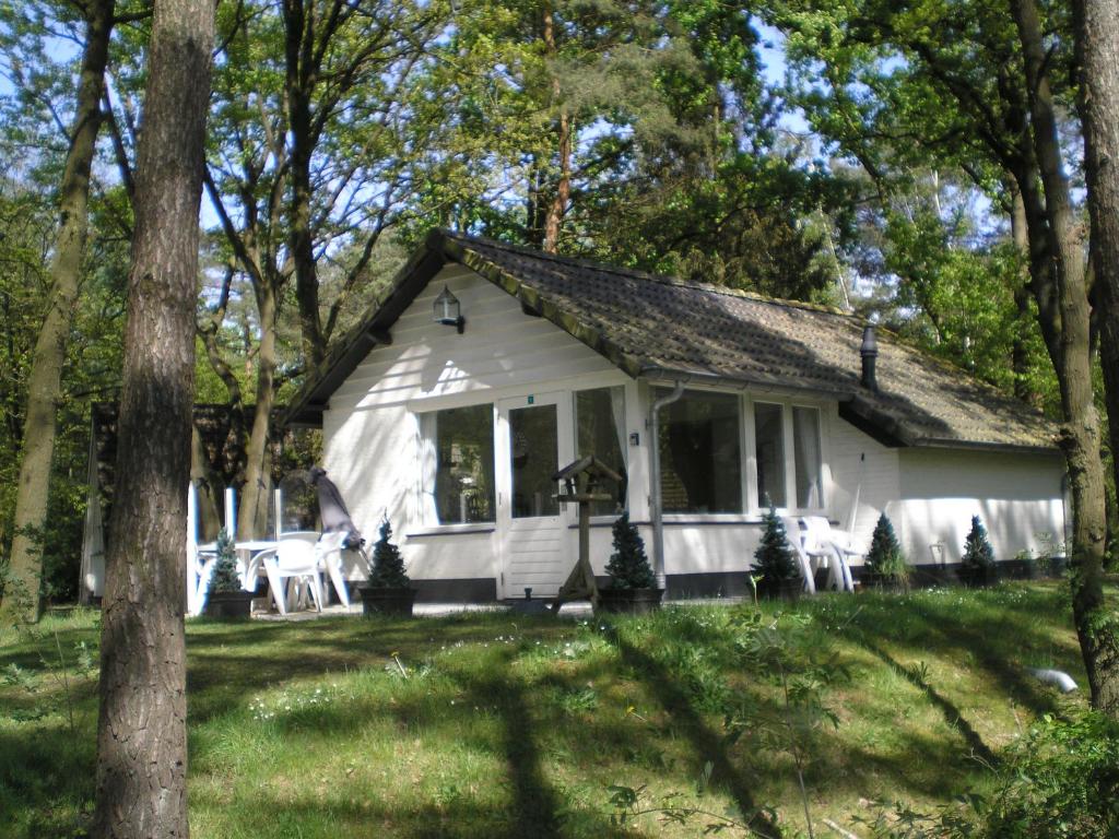 Cabaña blanca con sillas y árboles blancos en Vosseven en Stramproy