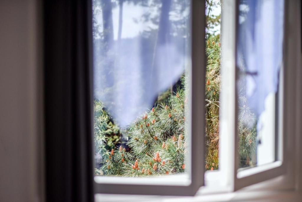 Nespecifikovaný výhled na hory nebo výhled na hory při pohledu z hotelu