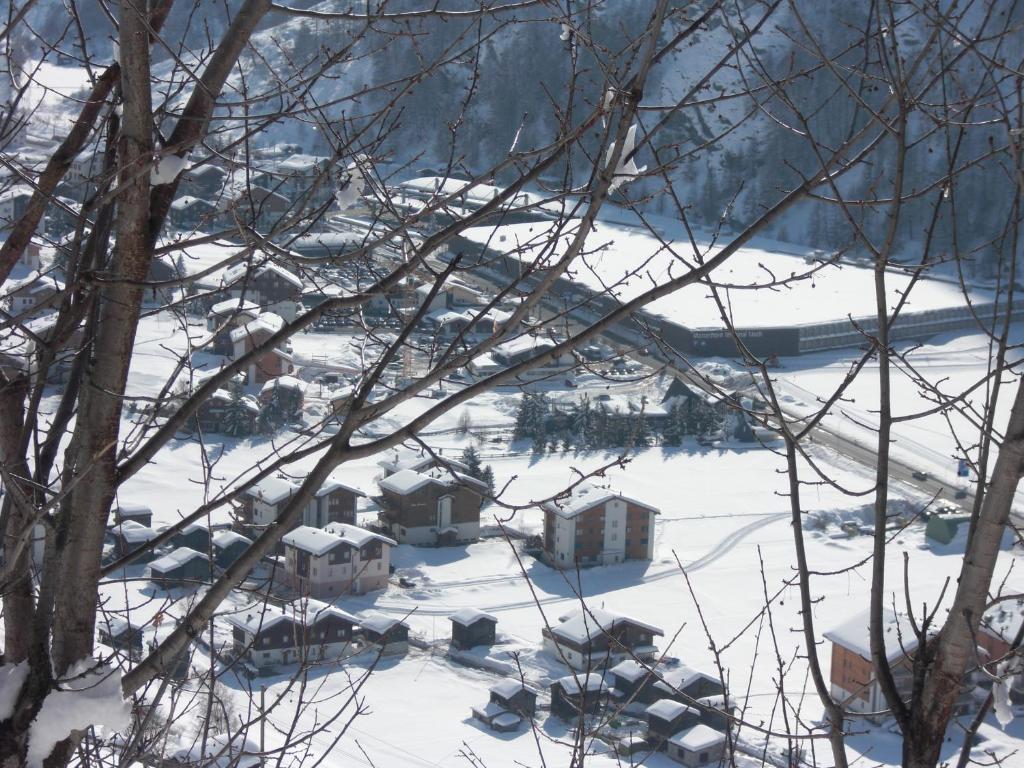 Příroda nedaleko apartmánu