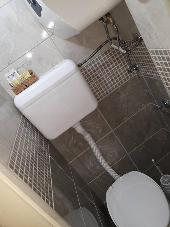 a bathroom with a white toilet and a shower at Vicky Apartments in Kotor