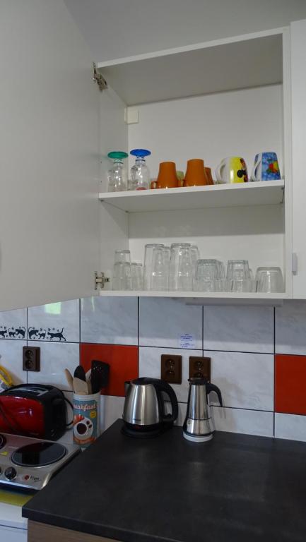 Kuchyň nebo kuchyňský kout v ubytování Apartmán u Kočky
