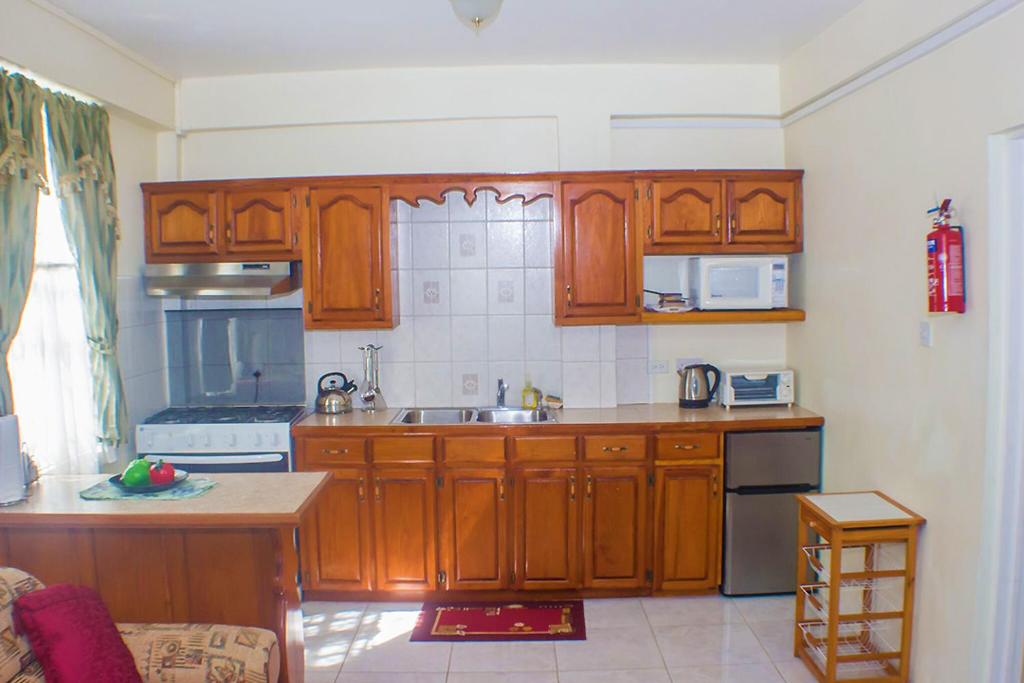 Kuchyň nebo kuchyňský kout v ubytování Hotel Alexandrina