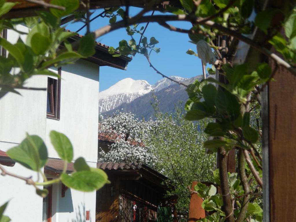 a view from a building with a mountain in the background at Apartments Bobi in Tolmin
