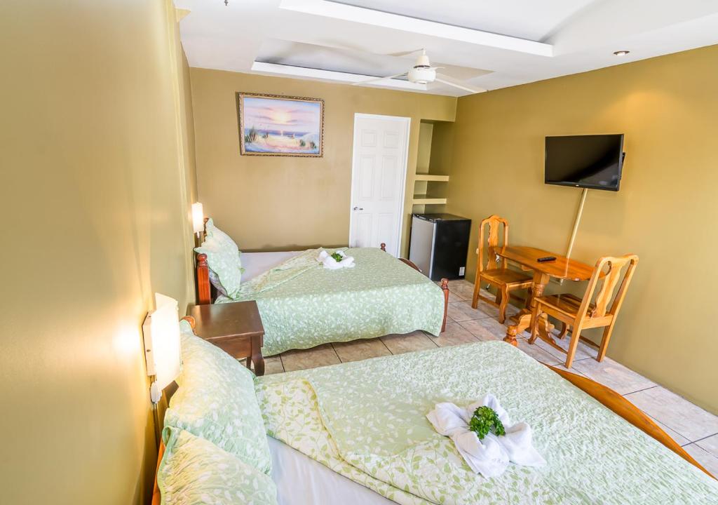 TV a/nebo společenská místnost v ubytování Hotel Le Priss