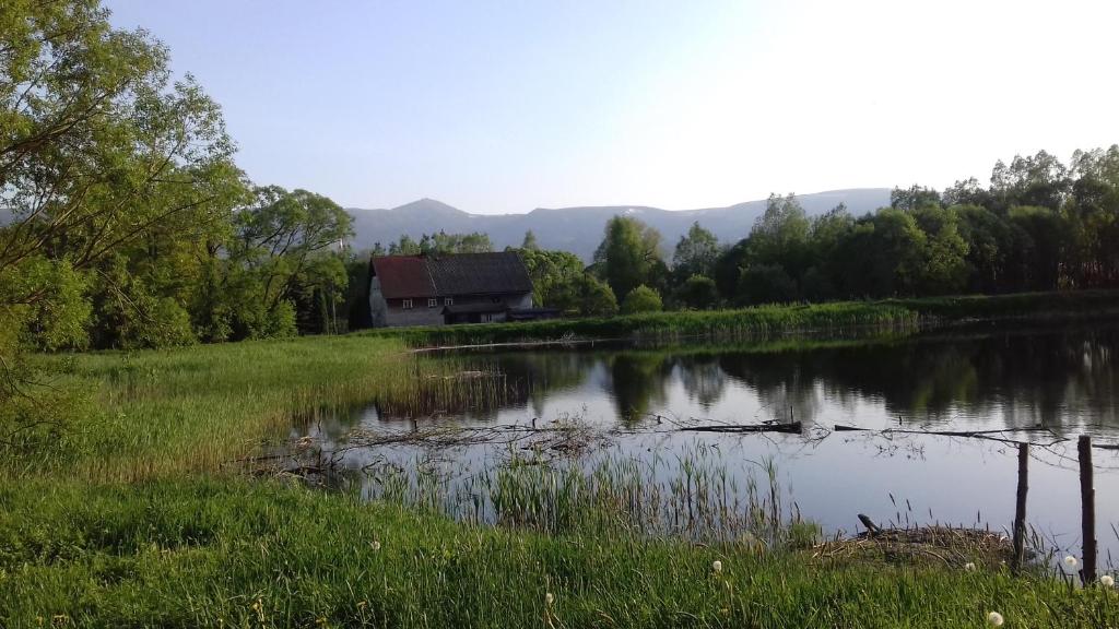 Príroda v okolí privátu
