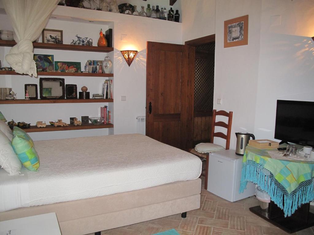 Casa dos Cactos - 15