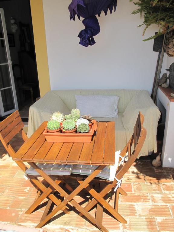 Casa dos Cactos - 10