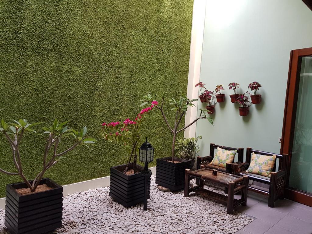 Zahrada ubytování Rumah Satoe