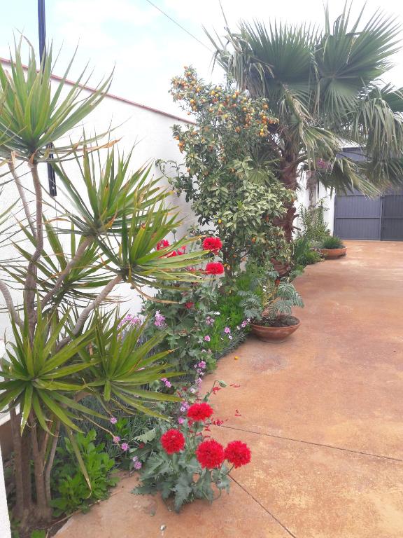 A garden outside La Casa de la Lluna