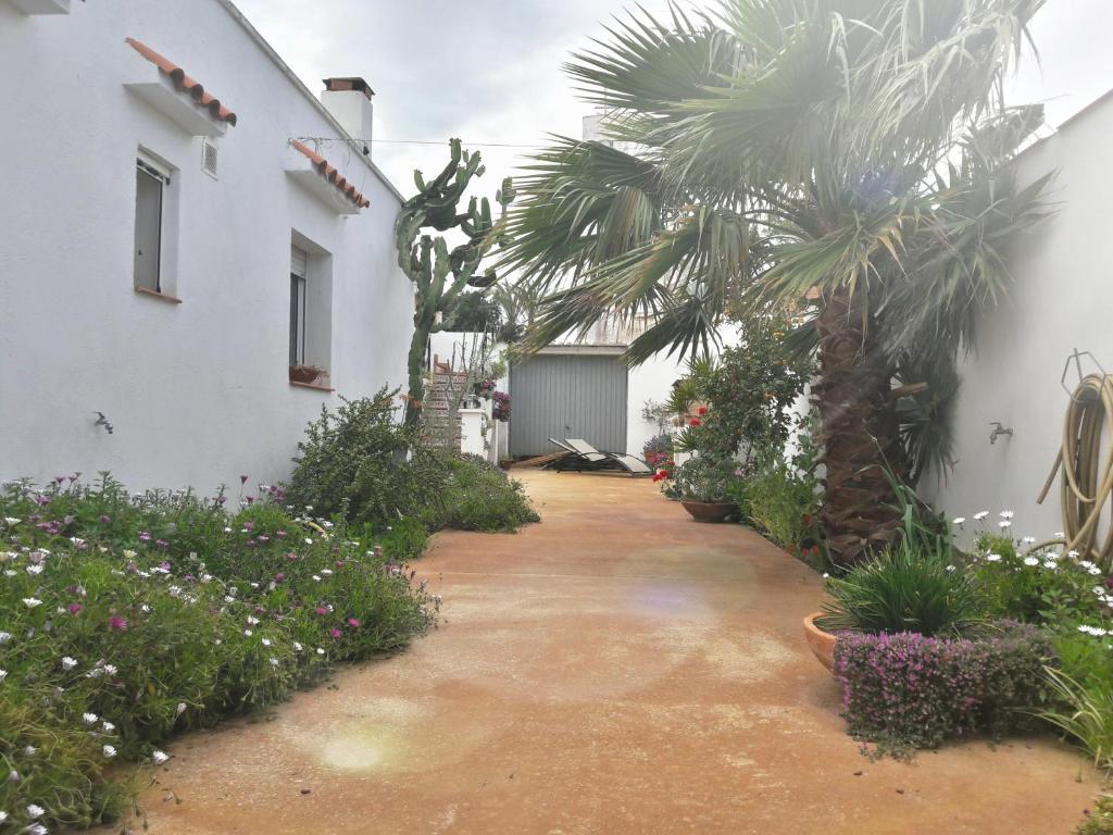 A garden outside La Casa de la Lluna