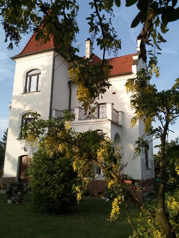 Zahrada ubytování Villa Liduška s kavárnou
