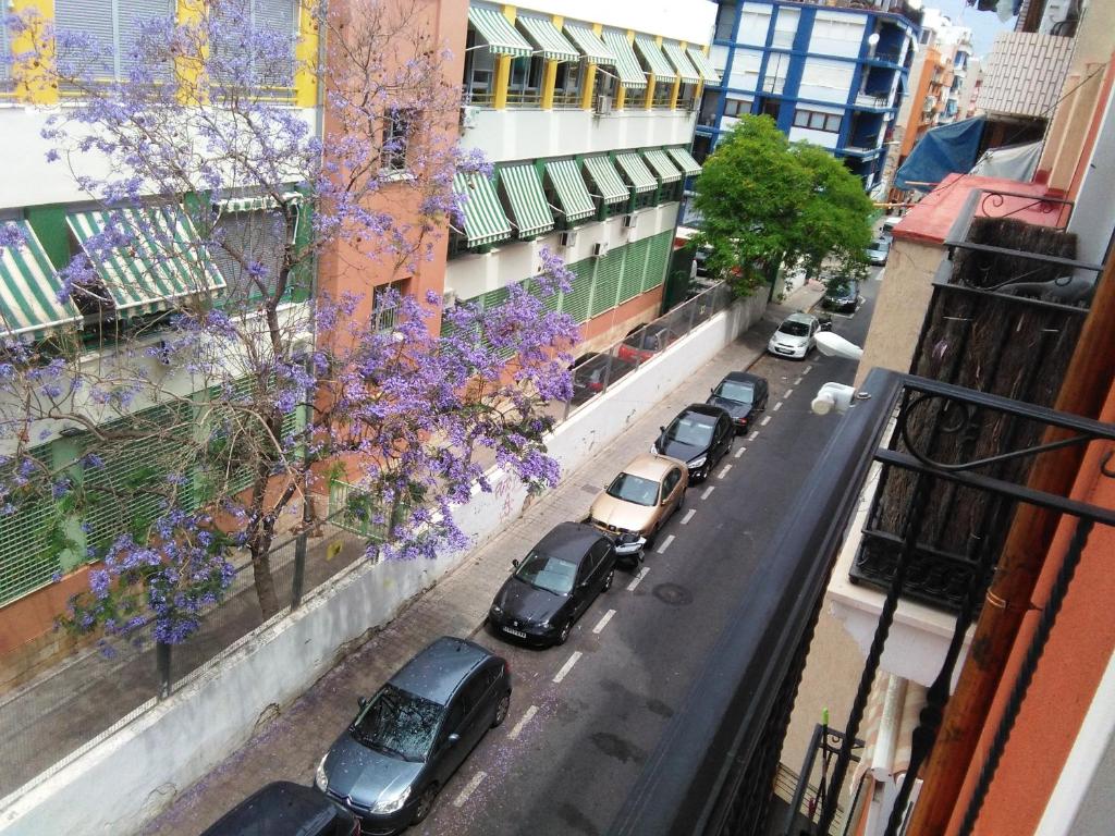 Plus Ultra, Alicante – Precios actualizados 2023