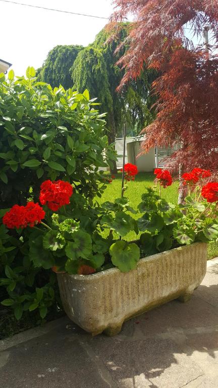 Fotografia z galérie ubytovania B&B "Al Colle 11" v destinácii Fano