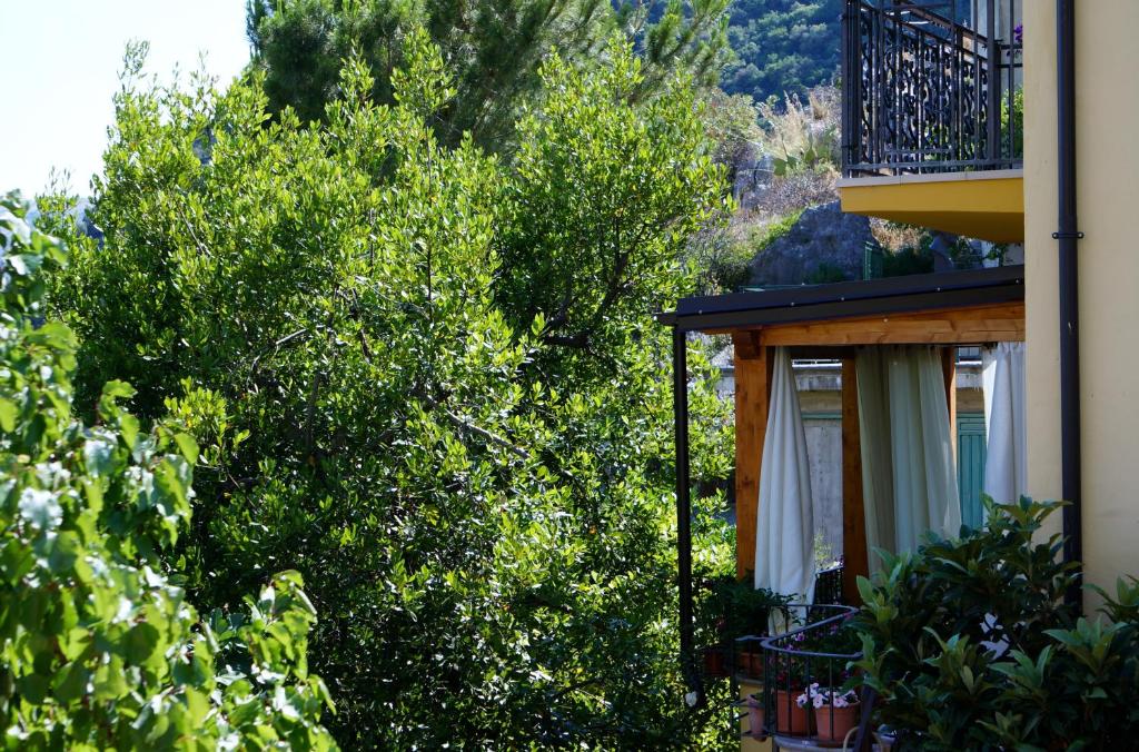 Zahrada ubytování B&B Lo Sparviero