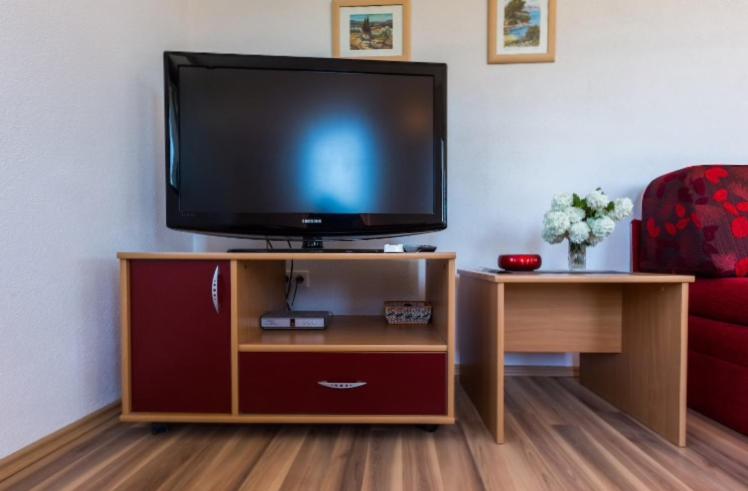 TV a/nebo společenská místnost v ubytování Slanac