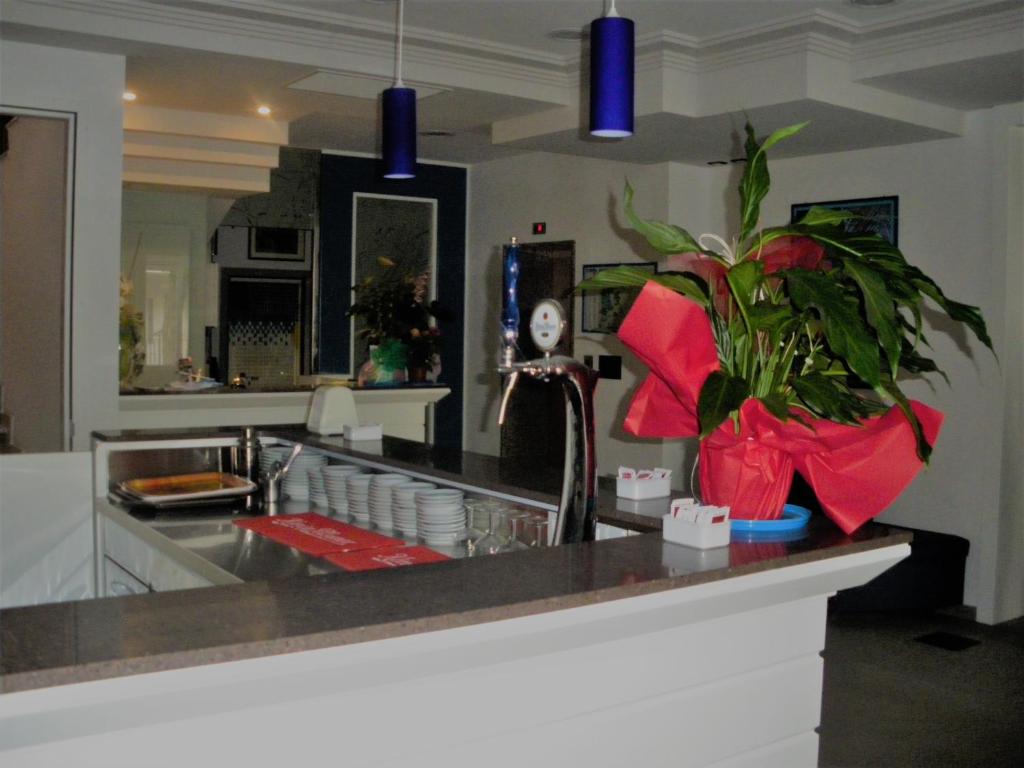 Nápoje v ubytování Hotel Amedeo