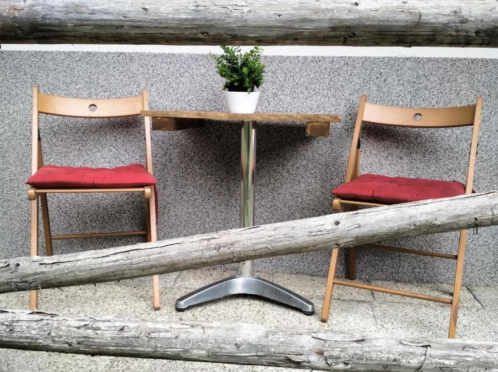 Deux chaises et une table avec une plante sur la table dans l'établissement Pokljuka Triglav national park, à Zgornje Gorje