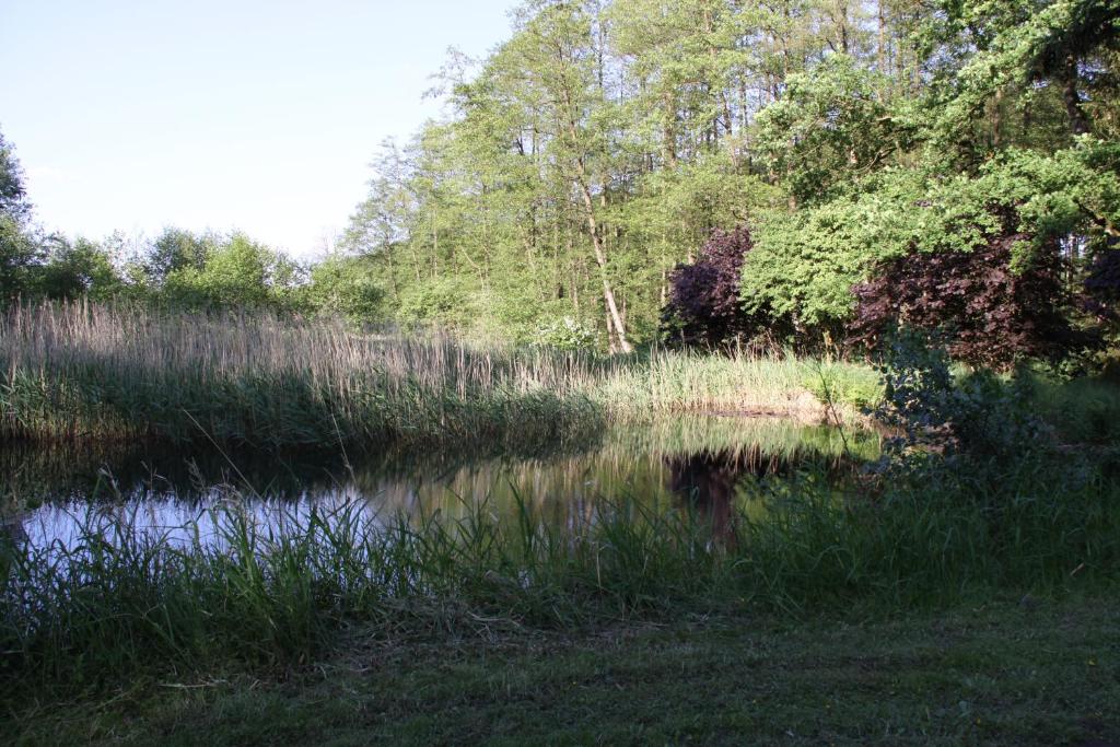 Příroda nedaleko apartmánu