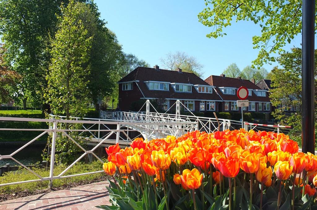 Zahrada ubytování B&B Ferdivedaasje