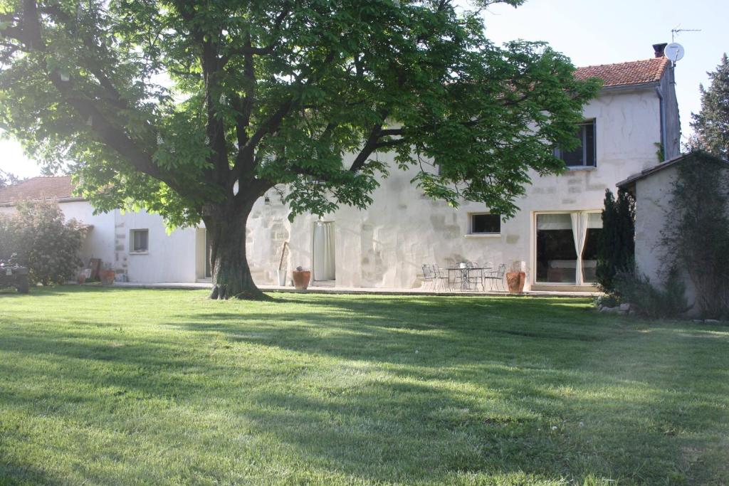 巴邦塔納的住宿－Le petit mas en provence avec piscine，房子院子的一棵大树