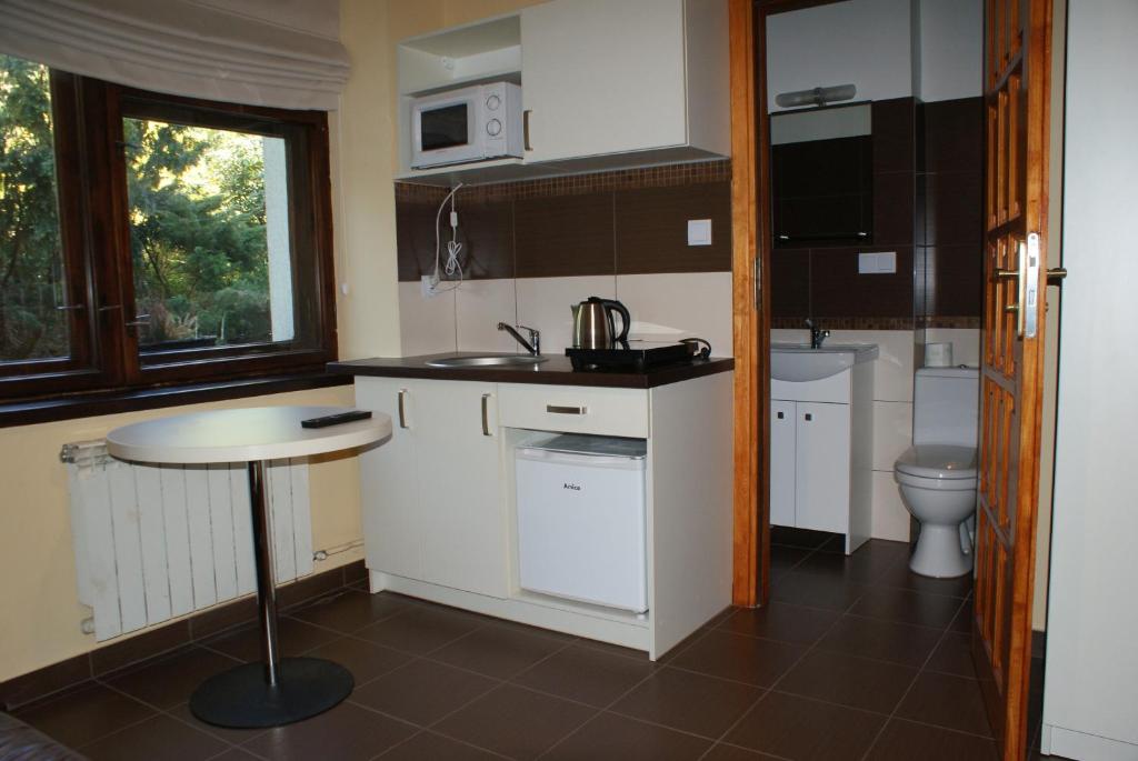 a small kitchen with a sink and a toilet at Willa Kasztelańska in Porąbka