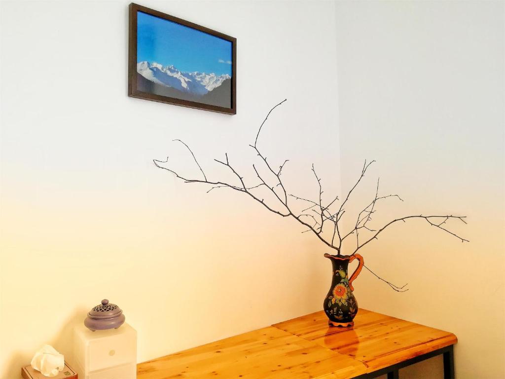 TV a/nebo společenská místnost v ubytování Kangding Guozhuang Nan Wu Hao Boutique Inn