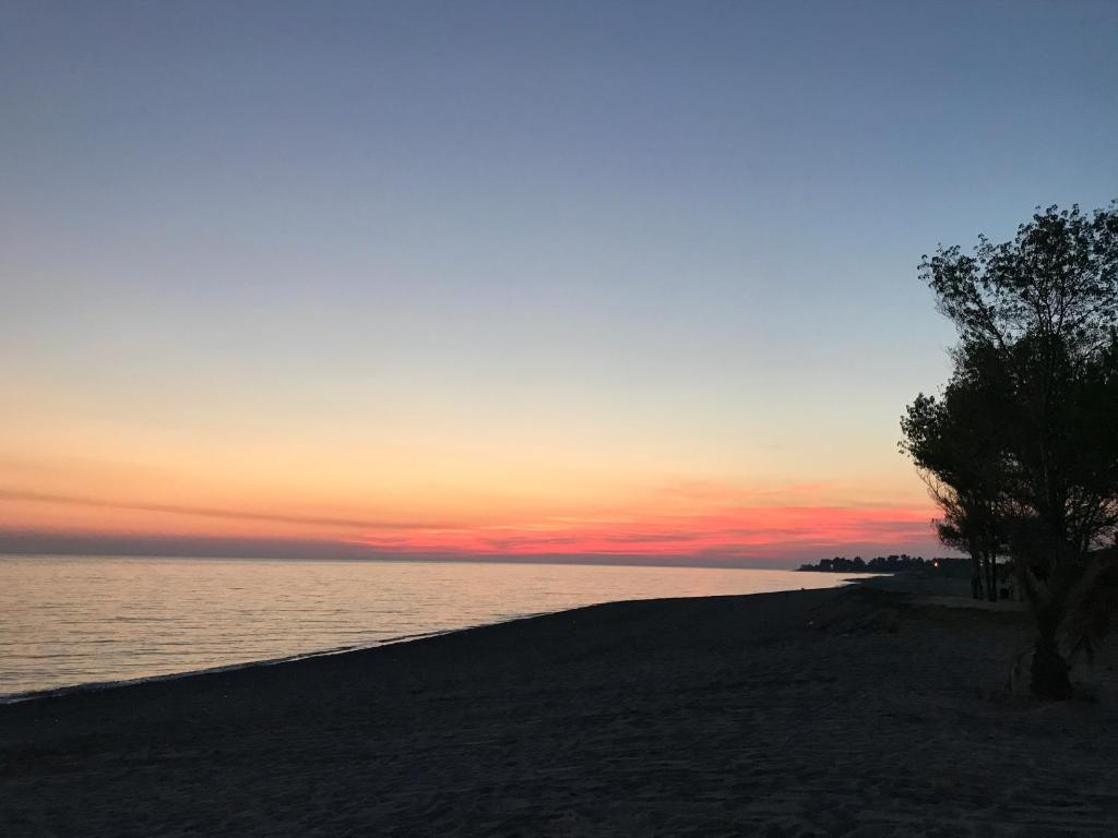 a sunset on a beach with a tree on the shore at Casetta al mare MariaTeresa in Nocera Terinese