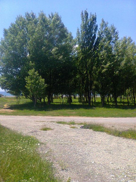Fotografie z fotogalerie ubytování Hotel Today , Խաղաղության լողափ v destinaci Shorzha
