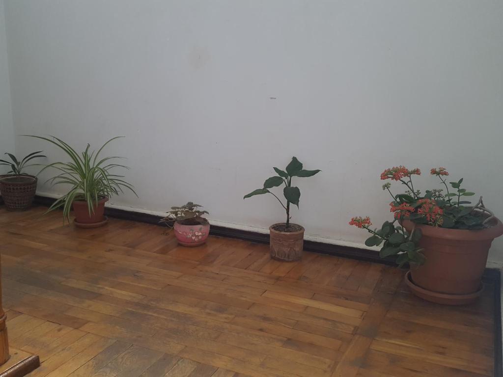 Fotografie z fotogalerie ubytování Hostel Mana Kutaisi v destinaci Kutaisi