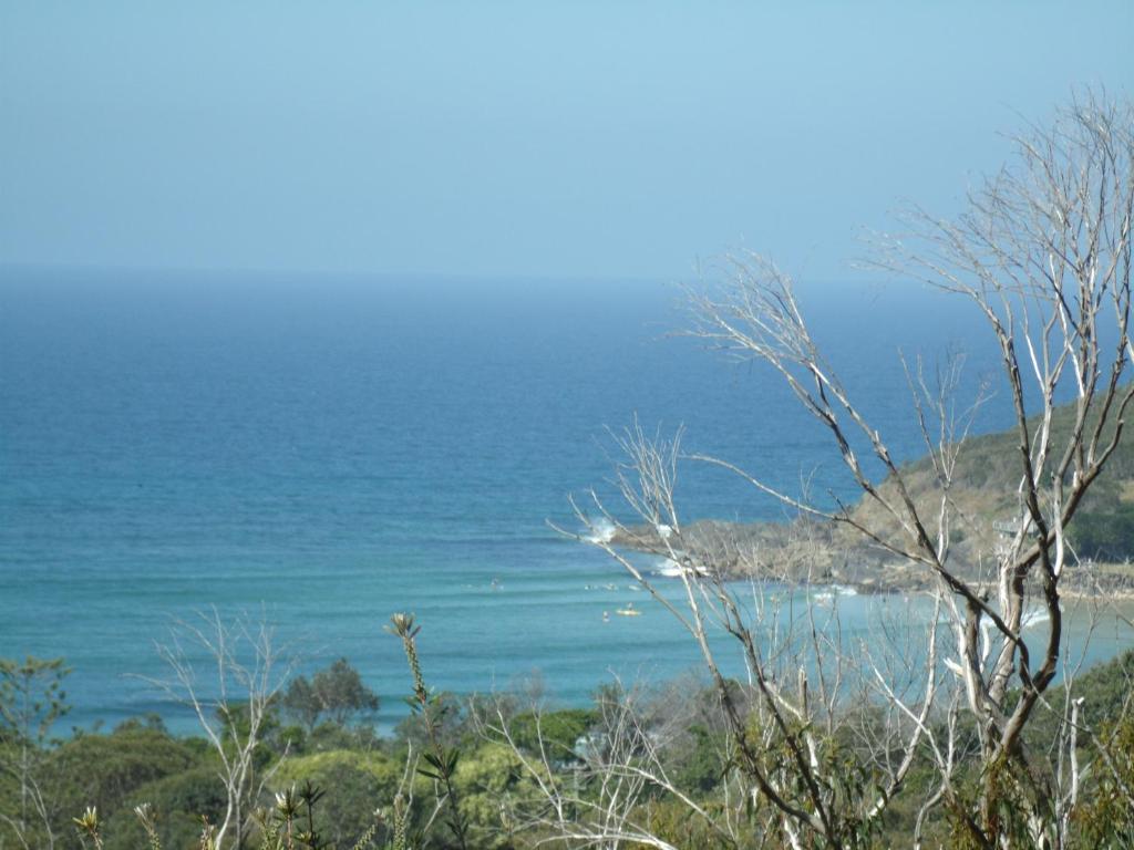 a view of the ocean from the top of a hill at Benji's By The Sea in Scotts Head