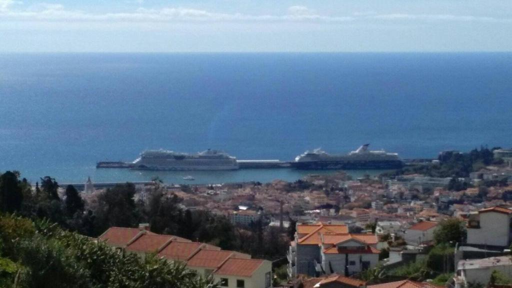 twee schepen in het water bij een stad bij House Joel & Sónia in Funchal