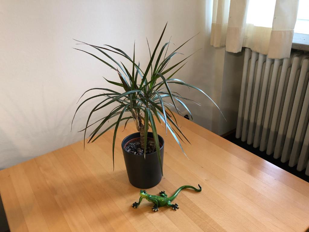 Mittenwald-Ferien - 19